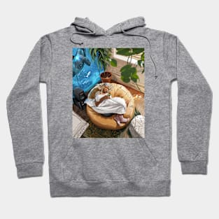 Serenity Hoodie